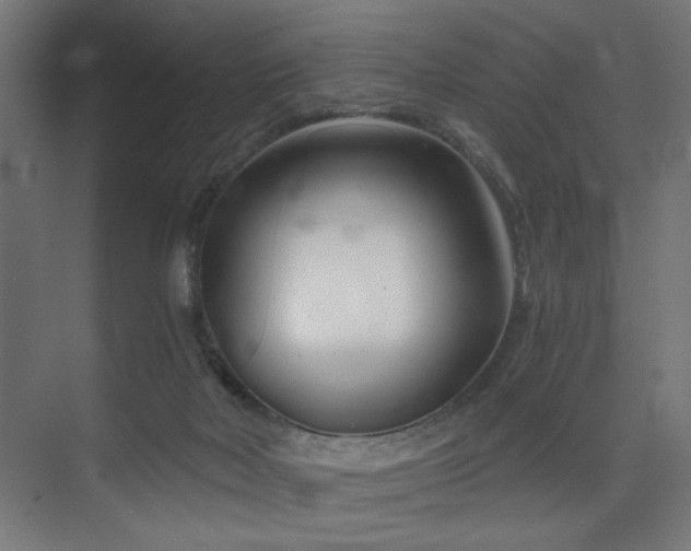 X0000075910026200609151440