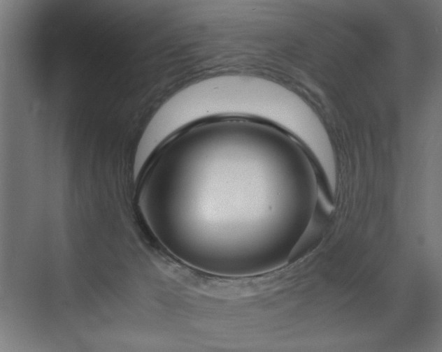X0000075910029200609151440