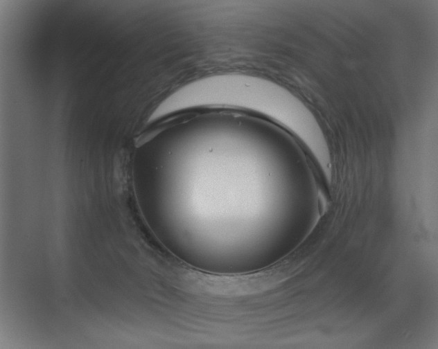 X0000075910030200609151440