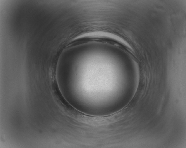 X0000075910031200609151440
