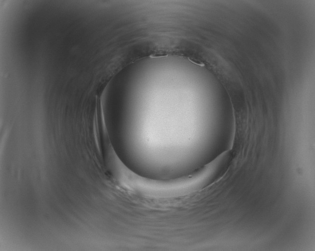 X0000075910033200609151440