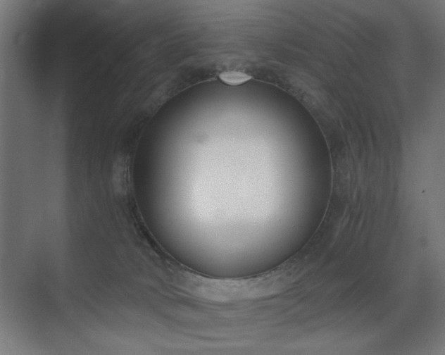 X0000075910034200609151440