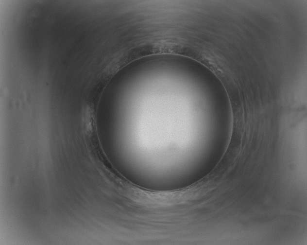 X0000075910038200609151440