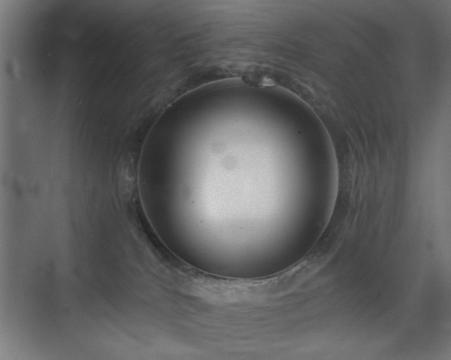X0000075910040200609151440
