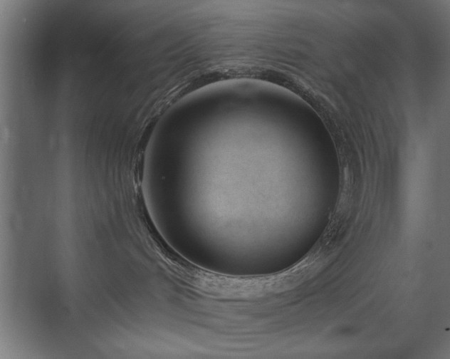 X0000075910048200609151440