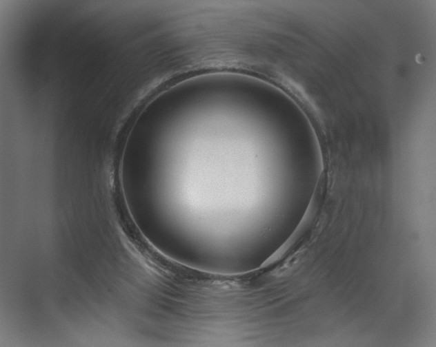 X0000075910060200609151439