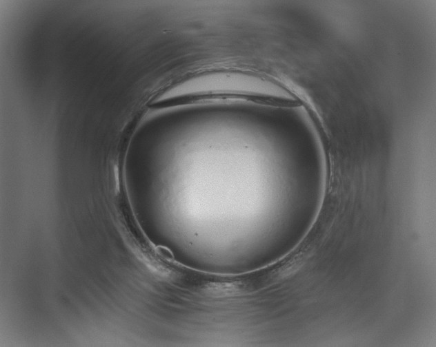 X0000075910061200609151439
