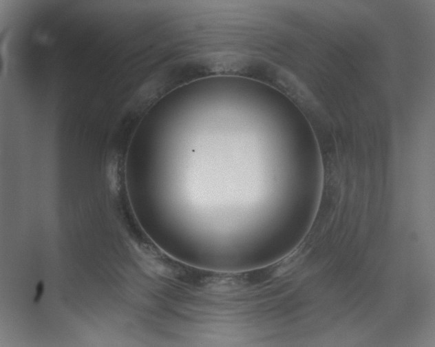 X0000075910074200609151440