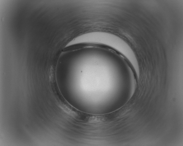X0000075910077200609151440