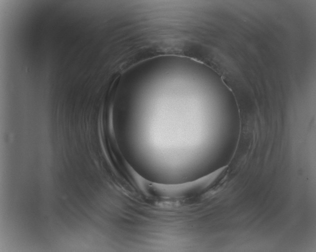 X0000075910084200609151440