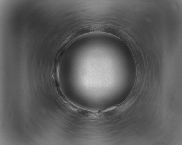 X0000075910096200609151440