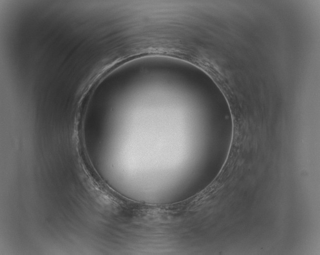 X0000075910098200609151439