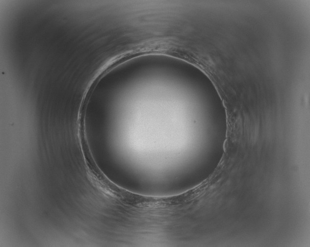 X0000075910100200609151439