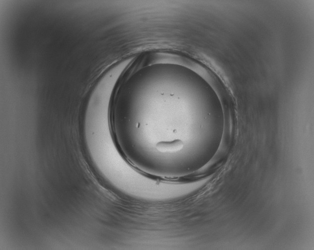 X0000075910105200609151439