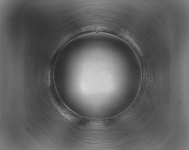 X0000075910110200609151439