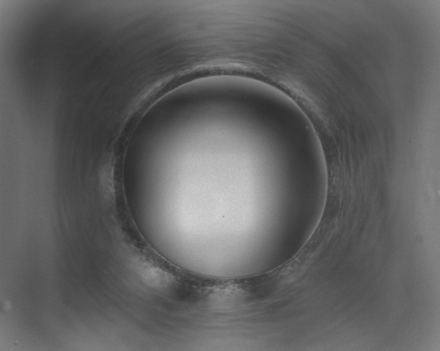 X0000075910112200609151439