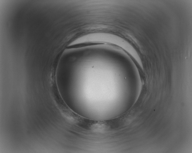 X0000075910119200609151439