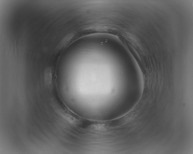 X0000075910120200609151439