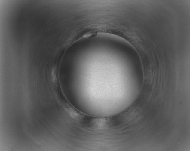 X0000075910131200609151439