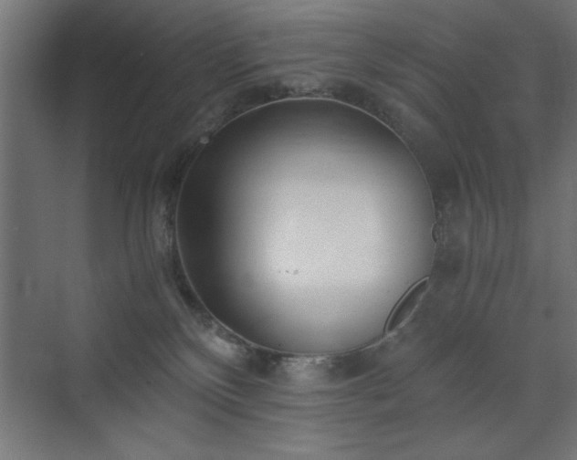 X0000075910136200609151438