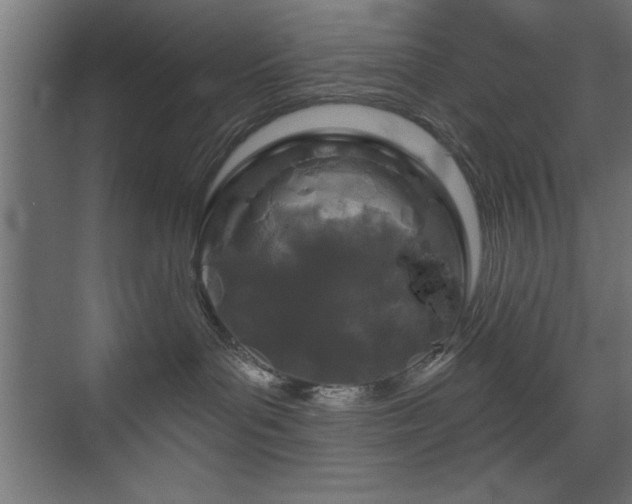 X0000075910143200609151438