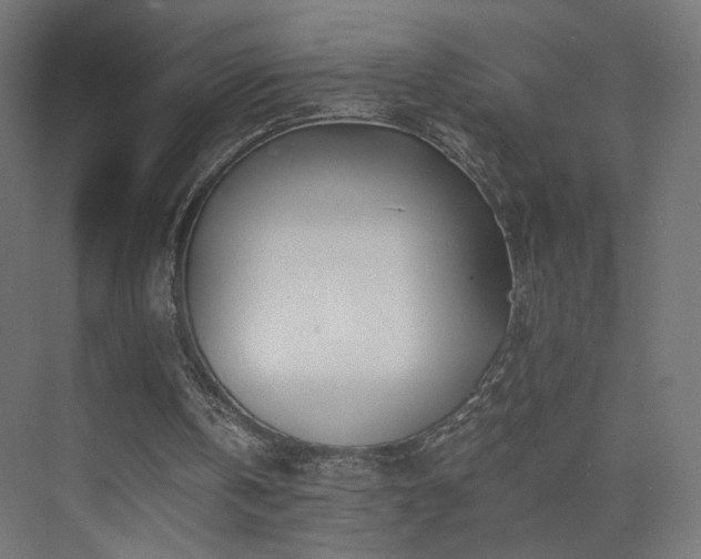 X0000075910146200609151438