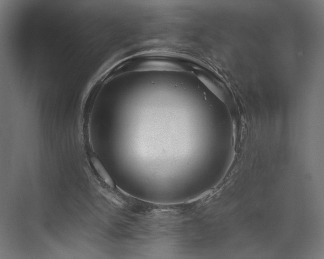 X0000075910150200609151438