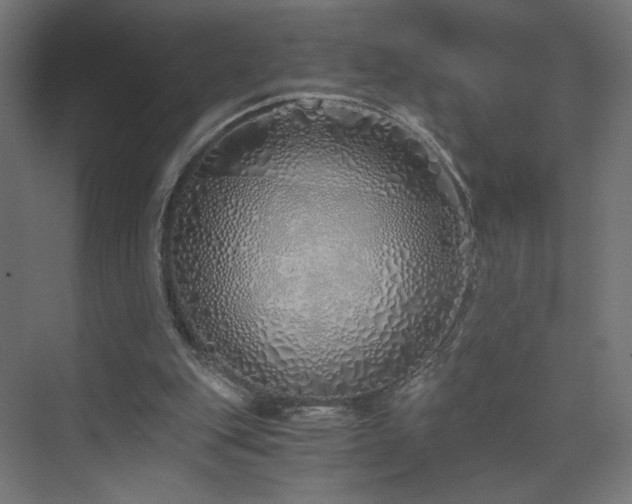 X0000075910151200609151438