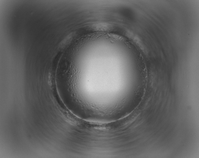 X0000075910161200609151438