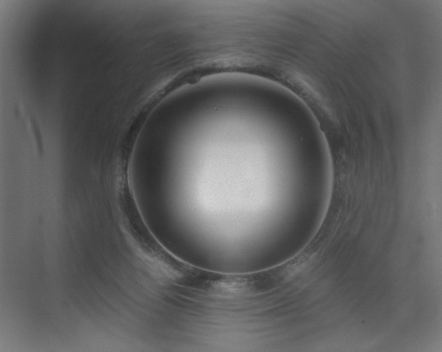 X0000075910164200609151438