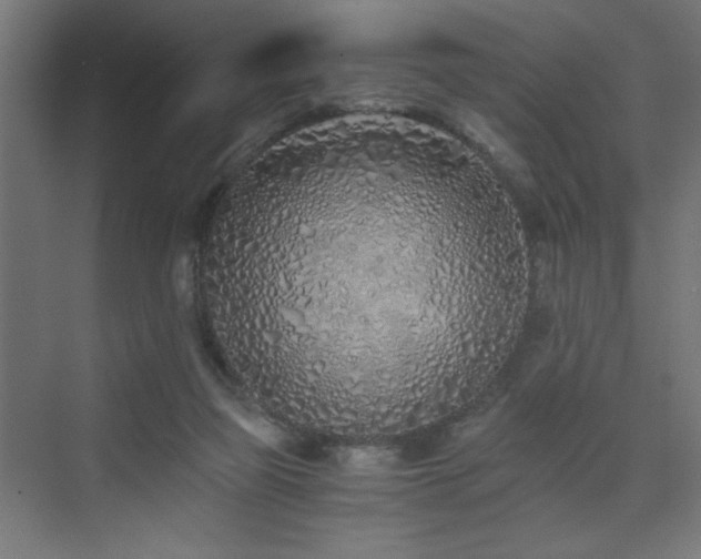 X0000075910165200609151438