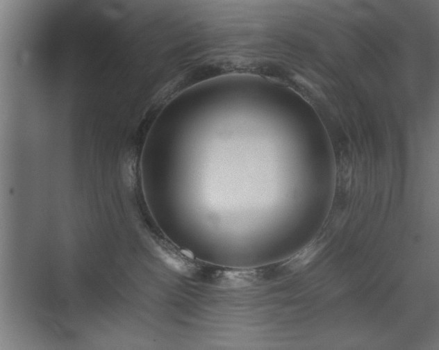 X0000075910188200609151438