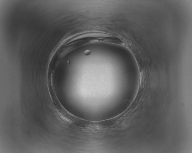 X0000075910195200609151437