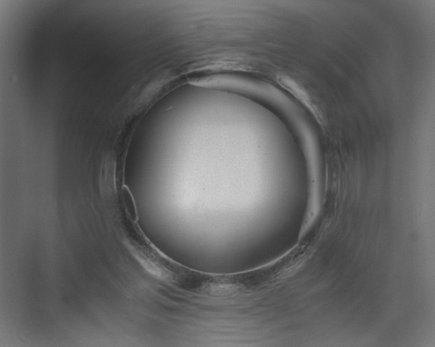 X0000075910205200609151437
