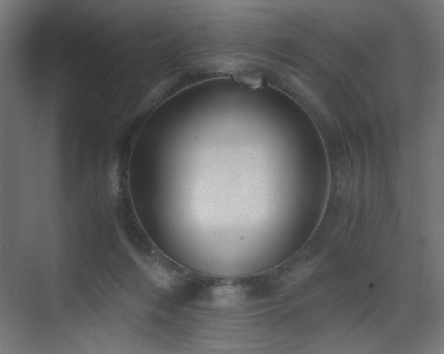 X0000075910216200609151437