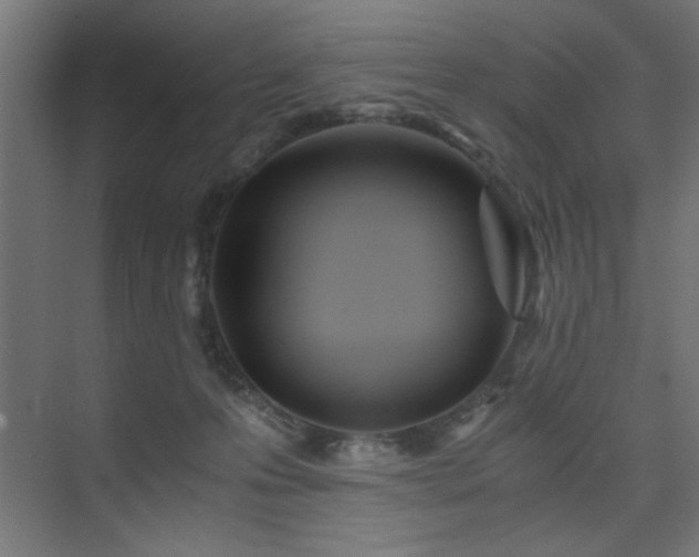 X0000075910223200609151437