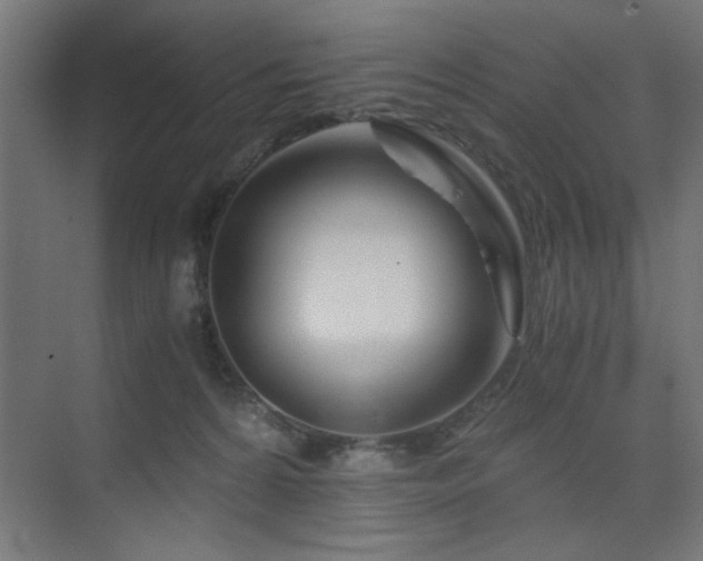 X0000075910224200609151437