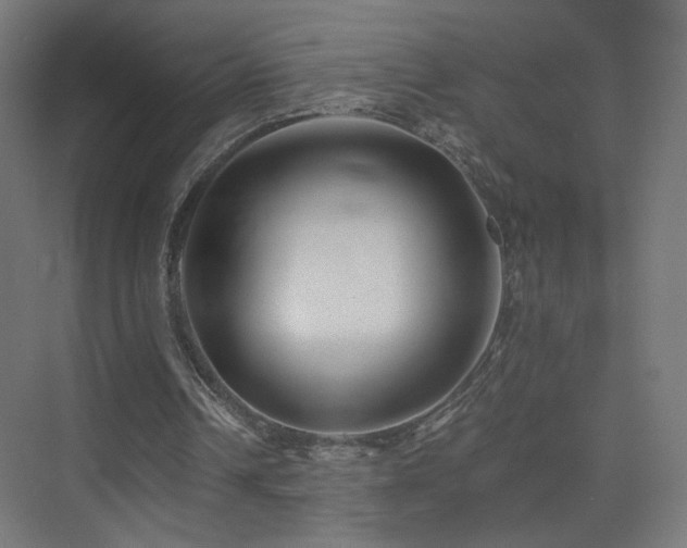 X0000075910242200609151436