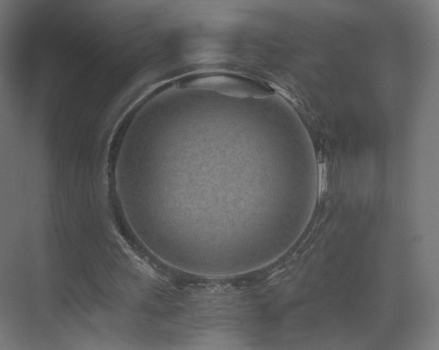 X0000075910243200609151436