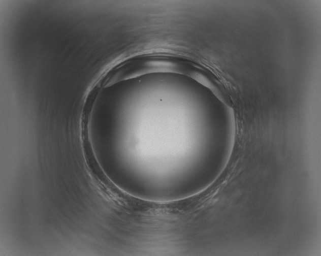X0000075910244200609151436