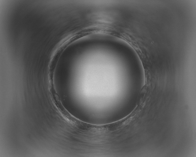 X0000075910245200609151436
