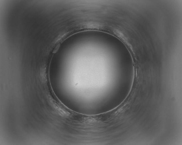 X0000075910249200609151436
