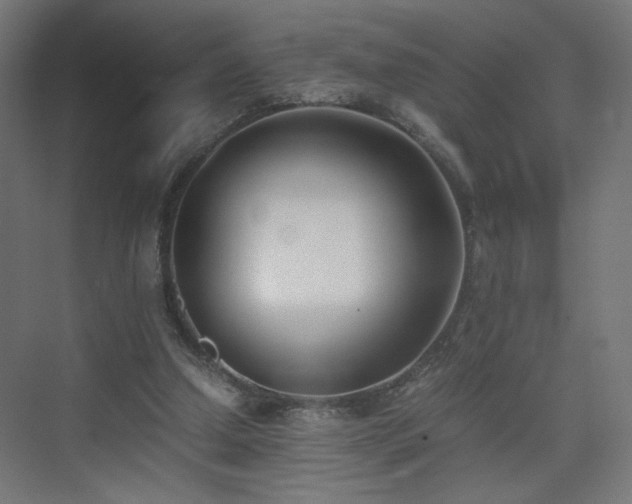 X0000075910250200609151436