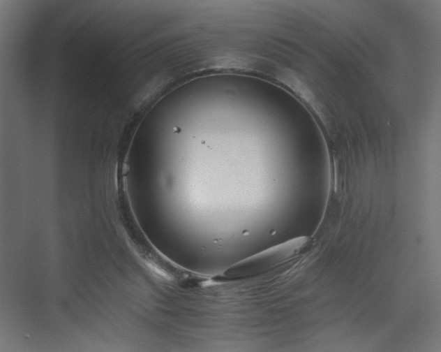 X0000075910253200609151436