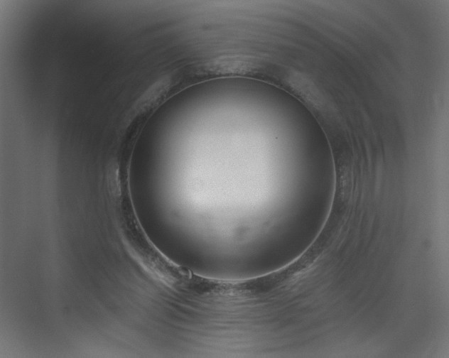 X0000075910254200609151436