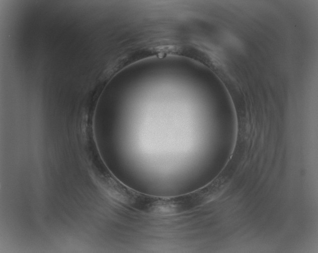 X0000075910263200609151436