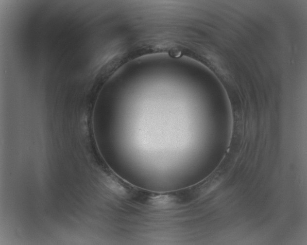 X0000075910269200609151436