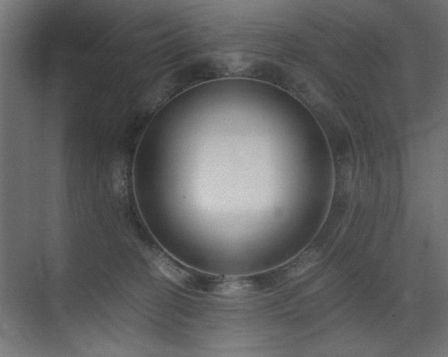 X0000075910274200609151436