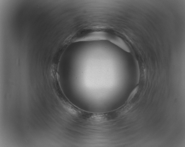 X0000075910280200609151437