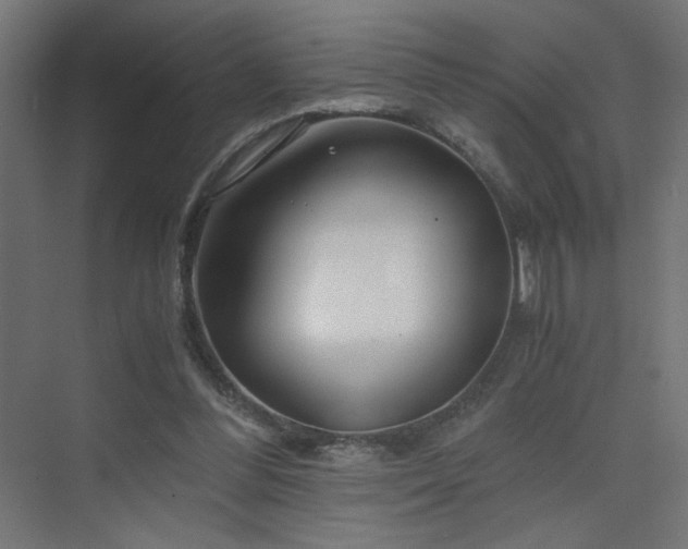 X0000075910300200609151436